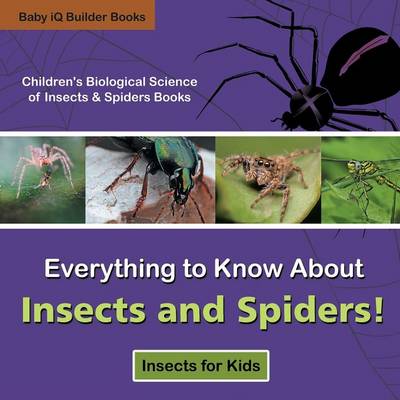 Everything to Know about Insects and Spiders! Insects for Kids ...