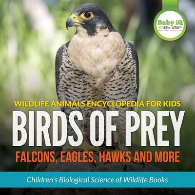 Wildlife Animals Encyclopedia for Kids - Birds of Prey (Falcon, Eagle ...