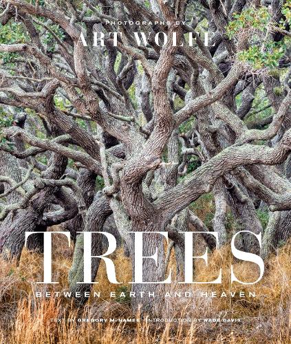 Trees: Between Earth and Heaven (Hardback)