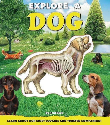 Explore a Dog - Explore (Hardback)