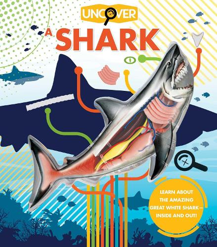 Uncover a Shark - Uncover (Hardback)