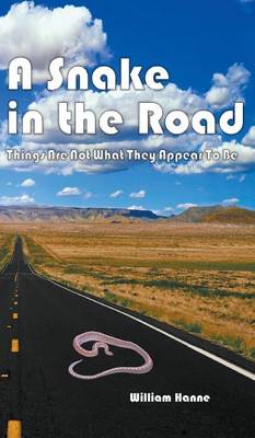 A Snake in the Road: A Different Take on the U.S. Involvement in Vietnam (Hardback)