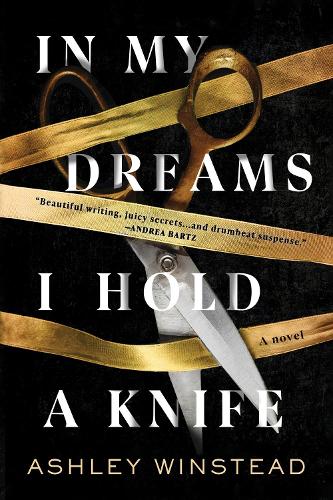 In My Dreams I Hold a Knife: A Novel (Paperback)