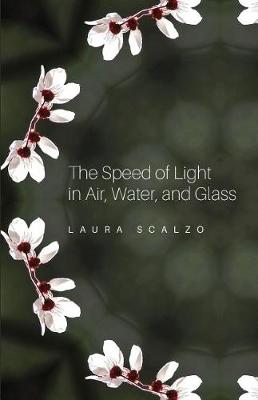 The Speed of Light in Air, Water, and Glass (Paperback)