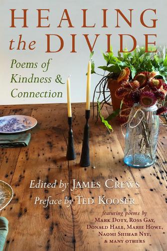 Healing the Divide: Poems of Kindness and Connection (Paperback)