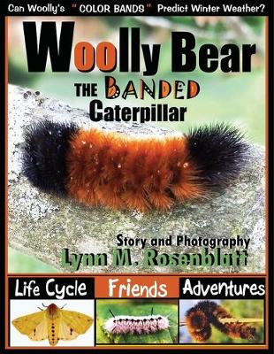 Woolly Bear the Banded Caterpillar: Life Cycle, Friends and Adventures (Paperback)