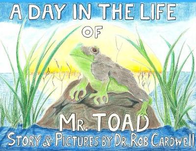 A Day in the Life of Mr. Toad (Paperback)