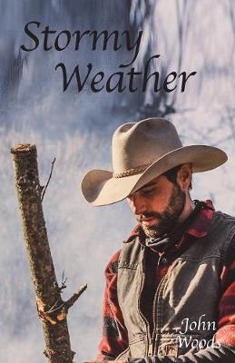 Stormy Weather (Paperback)