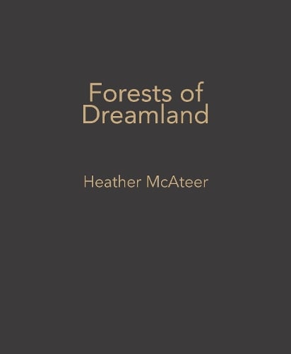 Forests of Dreamland: artworks on found paper (Paperback)