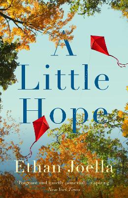 Book cover of A Little Hope