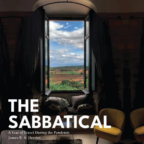 The Sabbatical: A Year of Travel During the Pandemic (Paperback)