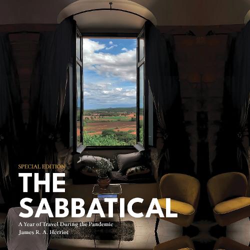 The Sabbatical: A Year of Travel During the Pandemic (Hardback)