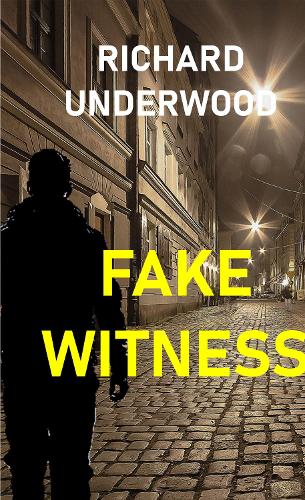 Fake Witness - Ann Perkins Detective Agency 1 (Paperback)