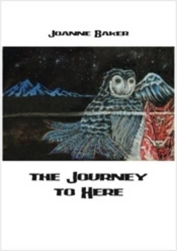 Journey to Here (Paperback)