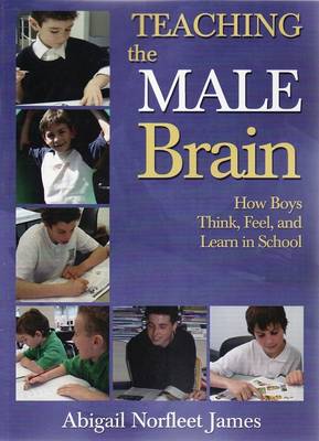 Teaching the Male Brain (Paperback)