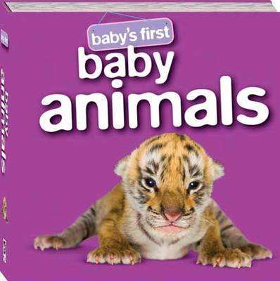 Baby Animals - Baby's First Padded: S3 (Hardback)