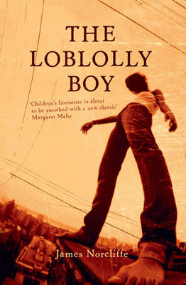 The Loblolly Boy (Paperback)