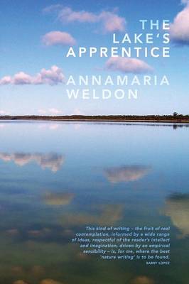 The Lake's Apprentice (Paperback)