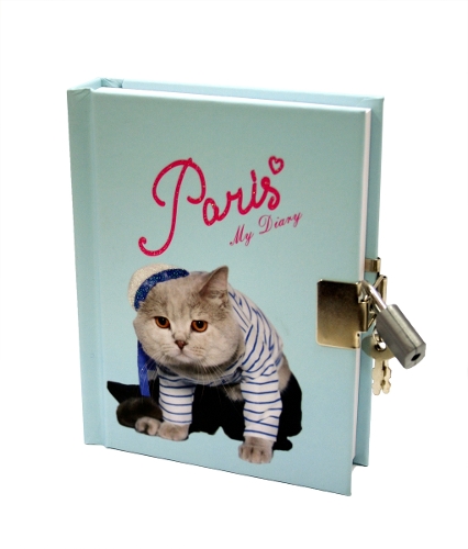 Lock-Up Diary: Parisian Kitty (Hardback)