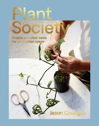 House Plants