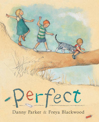 Perfect (Paperback)