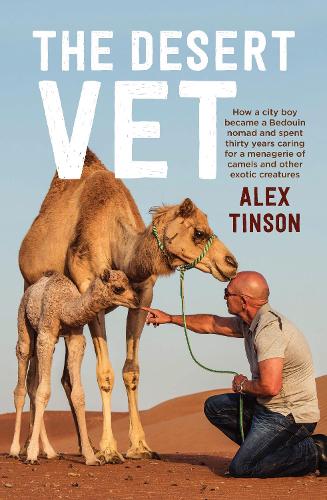 Desert Vet: How a City Boy Became a Bedouin Nomad and Spent Thirty Years Caring for a Menagerie of Camels and Other Exotic Creatures (Paperback)