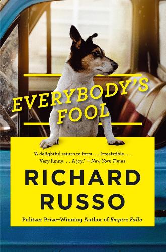 Everybody's Fool (Paperback)