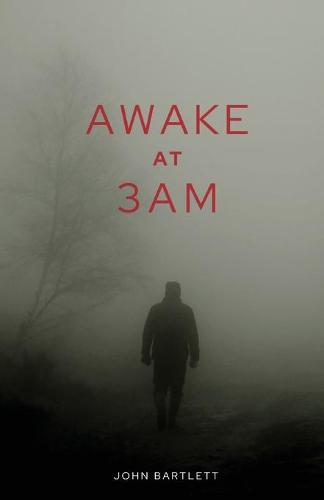 Awake at 3 a.m. (Paperback)