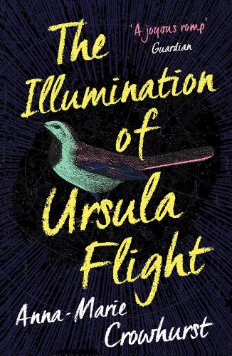 The Illumination of Ursula Flight (Paperback)