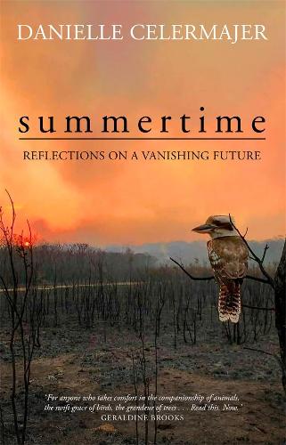 Summertime: Reflections on a Vanishing Future (Paperback)