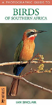 Photographic Guide Birds of Southern Africa (Paperback)