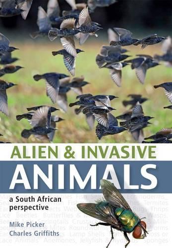Alien & Invasive Animals: A South African Perspective (Paperback)
