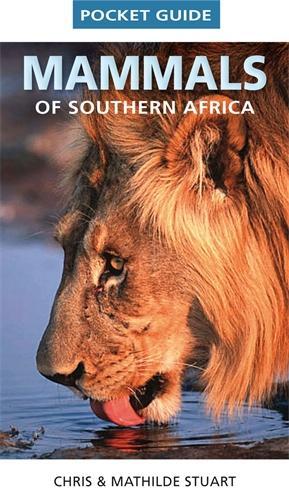 Pocket guide mammals of Southern Africa (Paperback)