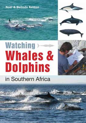 Watching Whales & Dolphins in Southern Africa (Paperback)