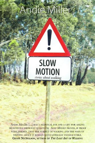 Slow motion (Paperback)
