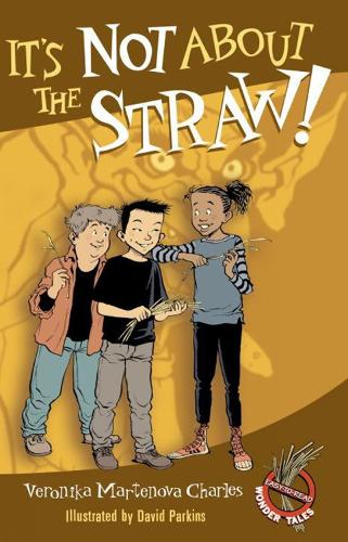 It's Not About The Straw! (Paperback)