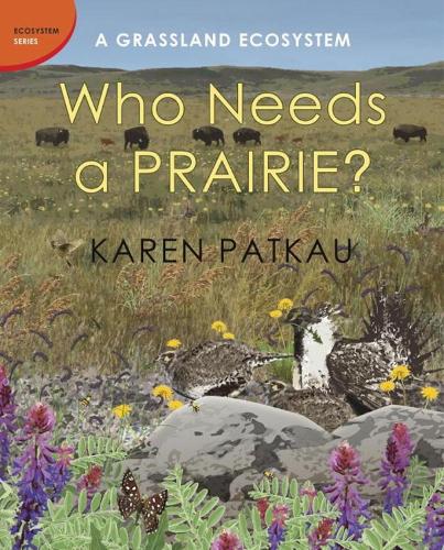 Who Needs A Prairie?: A Grassland Ecosystem (Hardback)