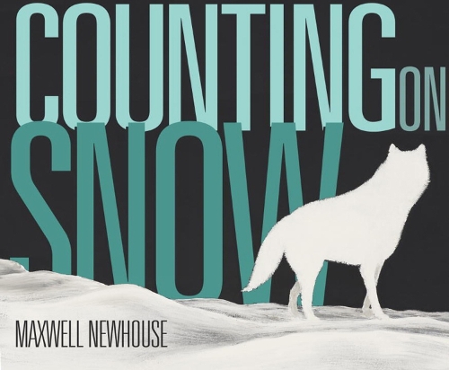 Counting On Snow (Board book)