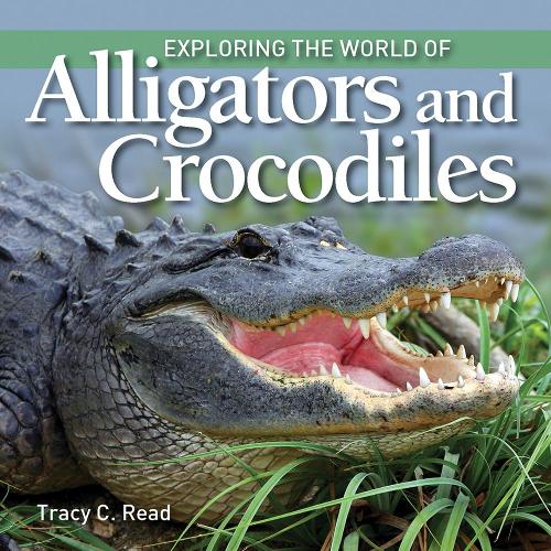 Exploring the World of Alligators and Crocodiles - Exploring the World of... (Paperback)