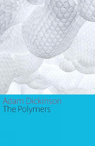 The Polymers (Paperback)
