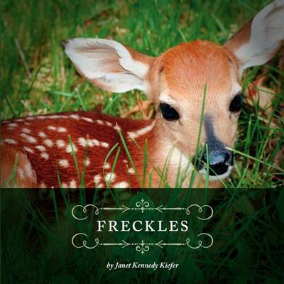 Freckles (Paperback)