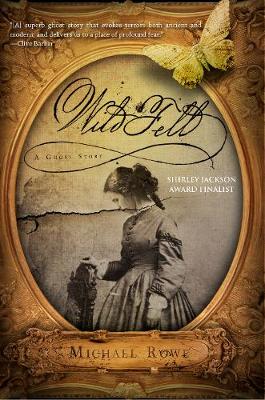 Wild Fell: A Ghost Story (Hardback)