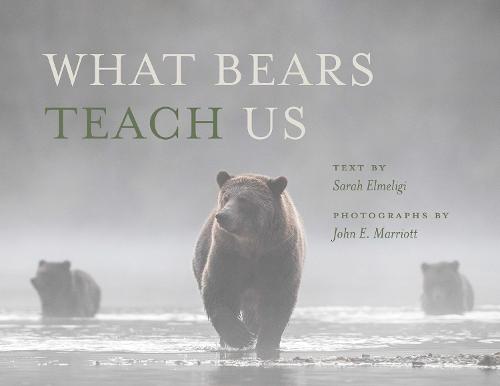 What Bears Teach Us (Hardback)