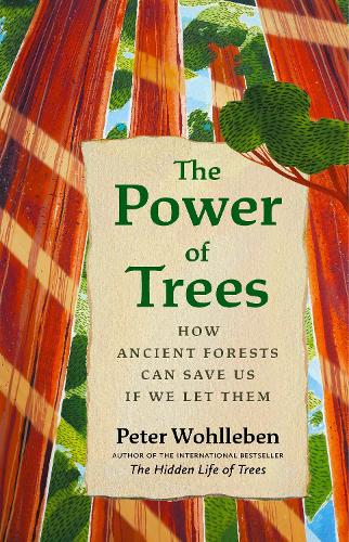 The Power of Trees: How Ancient Forests Can Save Us if We Let Them - From the Author of The Hidden Life of Trees (Hardback)