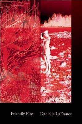 Friendly Fire (Paperback)