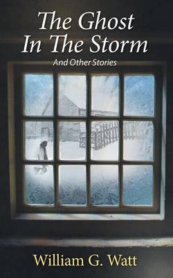 The Ghost in the Storm (Paperback)