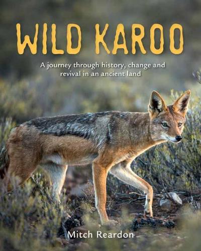 Wild Karoo: A Journey Through History, Change and Revival In An Ancient Land (Paperback)