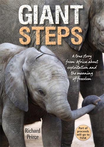 Giant steps: A true story from Africa about exploitation and the meaning of freedom (Paperback)