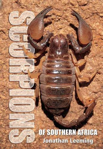 Scorpions of South Africa (Address book)