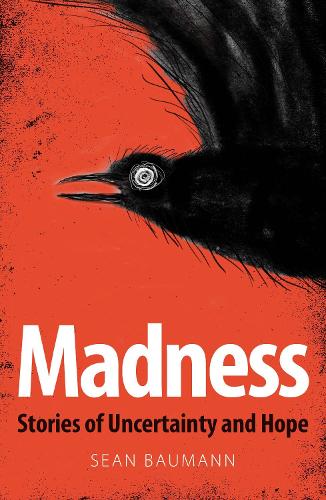 Madness: Stories of Uncertainty and Hope (Paperback)